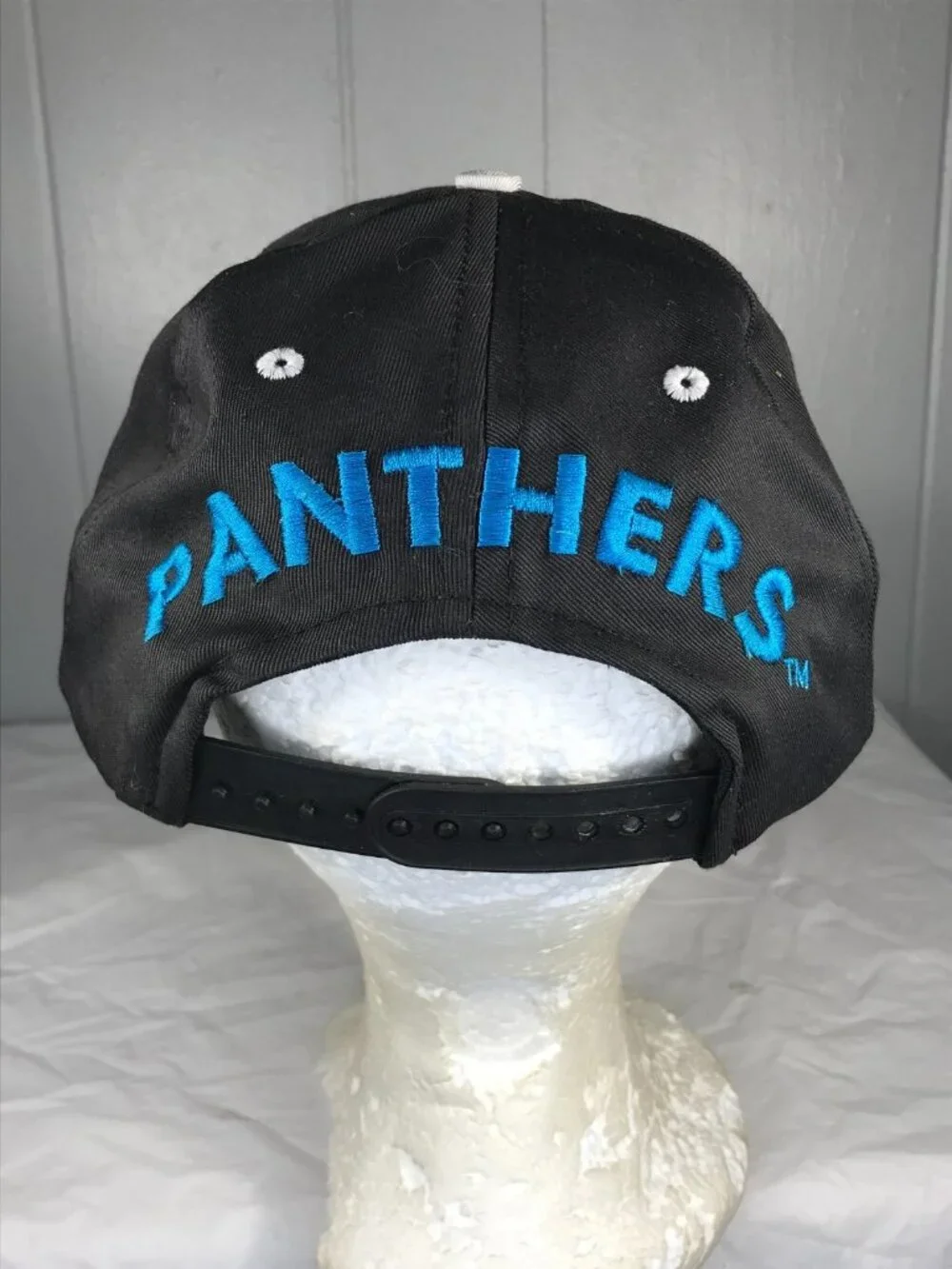 Vintage 90s Carolina Panthers Back hit Arch Spellout NFL SnapBack OSFA